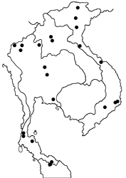 Celaenorrhinus putra sanda map