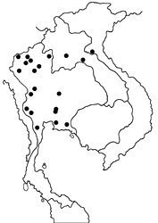 Aurivittia aurivittata map