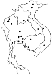 Odina decoratus map