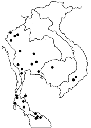Pseudocoladenia eacus dhyana map