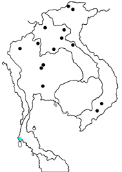 Satarupa gopala gopala map