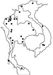 Gerosis phisara phisara map