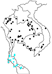 Tagiades japetus atticus map