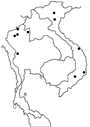 Tagiades cohaerens cynthia map