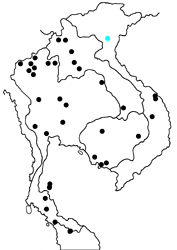 Ampittia dioscorides etura map