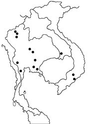 Ampittia maroides map