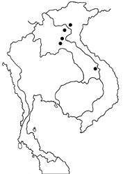 Aeromachus kali map