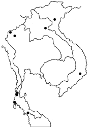 Aeromachus pygmaeus map