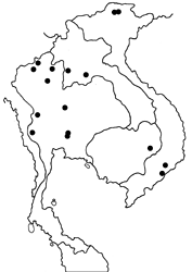 Thoressa cerata map
