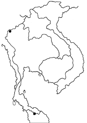 Halpe fushigina map