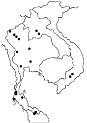Halpe flava map