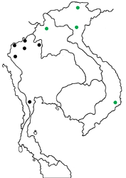 Koruthaialos swinhoei swinhoei map