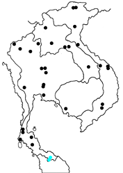 Ancistroides clavata theba map