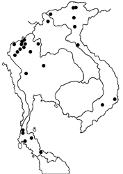Ancistroides feisthamelii alysos map