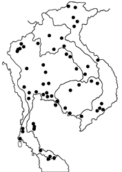 Ancistroides folus map