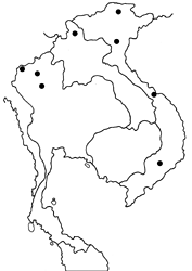 Scobura parawoolletti map