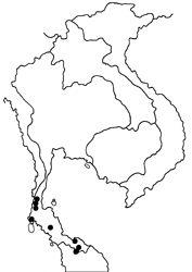 Oerane microthyrus neaera map