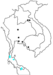 Isma protoclea bicolor map
