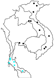 Isma bononia ssp. map