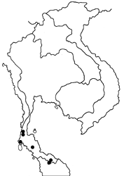 Pyroneura niasana burmana map