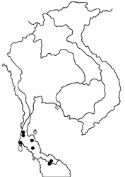 Oerane pugnans map