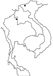 Matapa purpurascens map