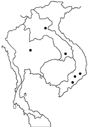 Taractrocera ceramas ssp. map