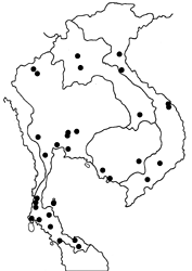 Oriens gola pseudolus map