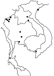 Potanthus pallida map
