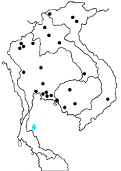 Cephrenes acalle niasicus map