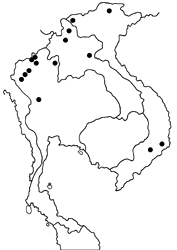 Zenonoida discreta discreta map