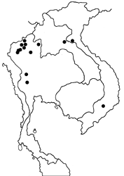 Delias agoranis map