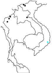 Delias sanaca bidoupa Map