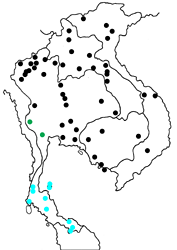 Delias pasithoe beata Map