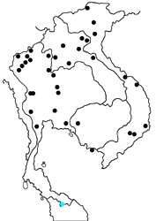 Prioneris thestylis thestylis map