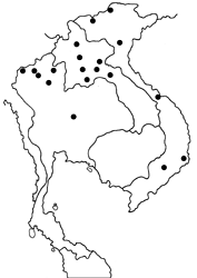 Appias galba map