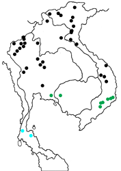 Parantica sita ethologa map