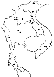 Elymnias saueri map