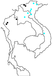 Lethe dura mansonia map