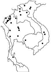 Lethe kansa map