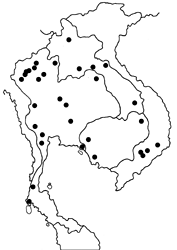 Lethe minerva tritogeneia map