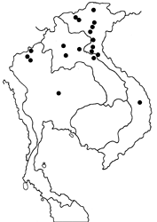 Lethe naga naga map
