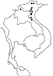 Lethe syrcis diunaga map