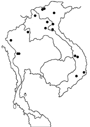 Neope bhadra bhadra map