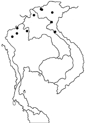 Neorina patria westwoodii map