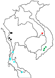Ethope diademoides diademoides map