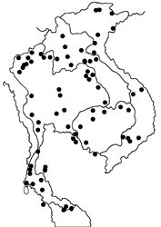 Orsotriaena medus medus map