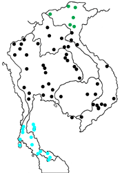 Mycalesis mineus mineus map