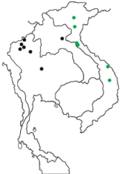 Mycalesis adamsonii adamsonii map