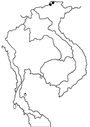Ragadia latifasciata cristata map